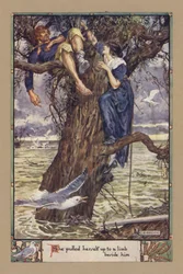 She pulled herself up to a limb beside him