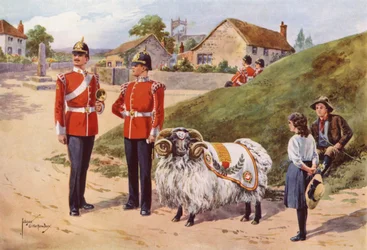 Derby Tom, the Pet Ram of the Sherwood Foresters