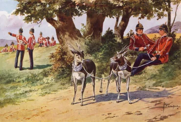 The Pet Antelopes of the Royal Warwickshire Regiment