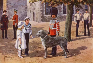 The Pet Wolfhound of the Irish Guards at the Tower of London