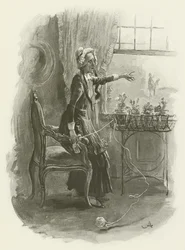 Miss Betsy Trotwood