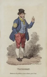 Waterman
