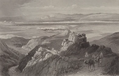 The plains of Jericho