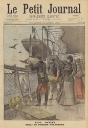 Trial of Carrier Pigeons at Sea