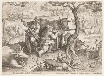 Deer Hunt