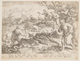 Hunting Snakes
