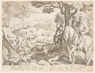 Rabbit Hunt
