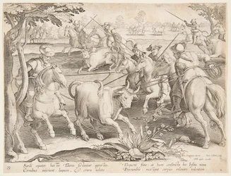 Trapping Wild Bulls