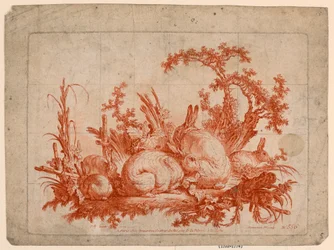 Family of Rabbits