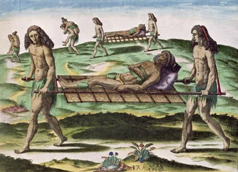 Hermaphrodites Transporting the Injured, from 