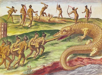Hunting Crocodiles, from 