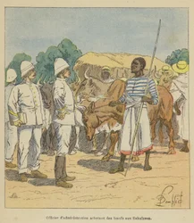 Administration Officer Buying Cattle from the Sakalaves