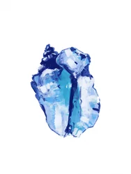 Abstract Blue Conch