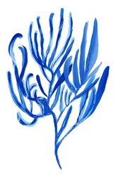 Abstract Blue Coral