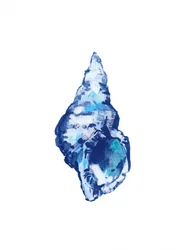 Abstract Blue Shell