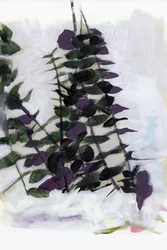 Abstract Botanical Foliage