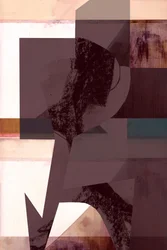 Abstract Geometric Layers