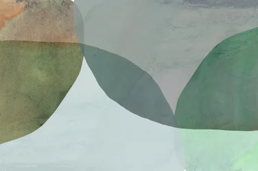 Abstract Natural Forms