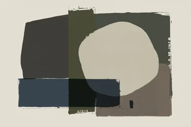 Abstract Overlapping Forms