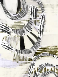 Abstract Striped Forms