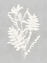 Botanical Silhouette Study