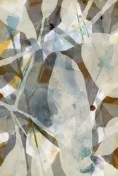 Calm Organic Layers