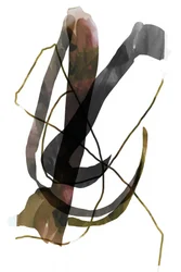 Dark Organic Flow