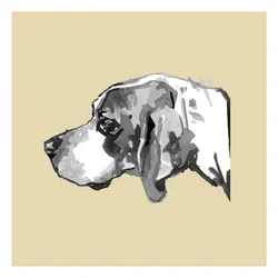 Elegant Dog Profile