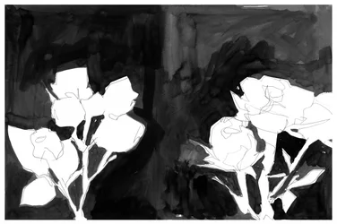 Elegant Night Blooms