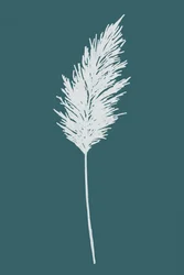 Elegant Pampas Plume