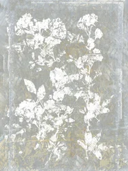 Faded Floral Silhouette