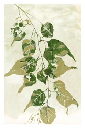 Fresh Green Leaves