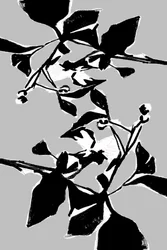 Graphic Botanical Pattern