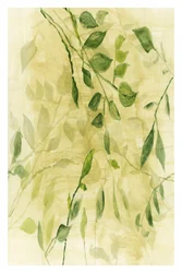 Green Botanical Layers