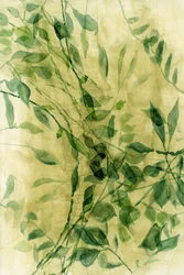 Green Watercolor Leaves