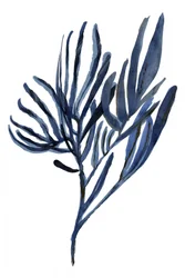 Indigo Botanical Branches