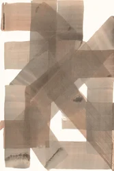 Intersecting Earth Tones