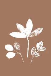 Leaves in Contrast
