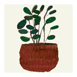 Lush Potted Houseplant