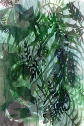 Lush Tropical Foliage