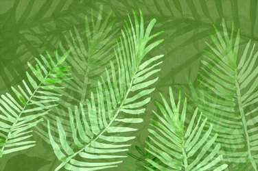 Lush Tropical Palm Leaves