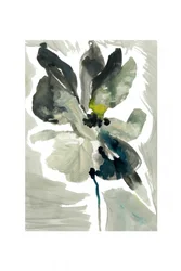 Muted Floral Abstract