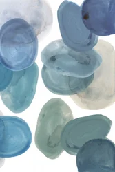 Organic Aqua Shapes