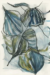 Organic Blue Leaves