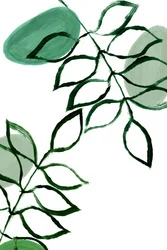 Organic Green Leaves