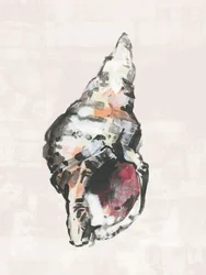 Painted Coastal Shell