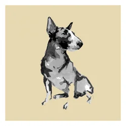 Sitting Bull Terrier