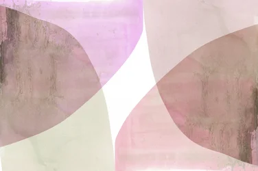 Soft Abstract Curves