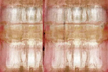 Soft Organic Texture