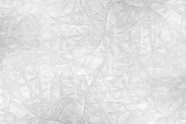Tangled White Abstract